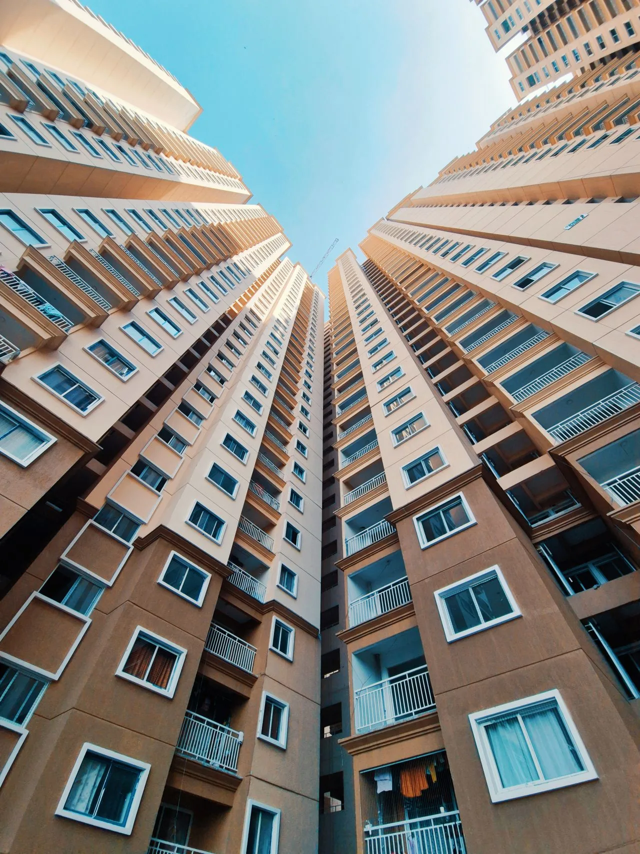 Pexels Sincegameon 31830890 1 | FGV RENTALS & TRIPS S.L